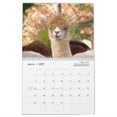Alpaca Kalender 2025 (Mar 2027)