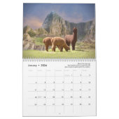 Alpaca Kalender 2025 (Jan 2026)