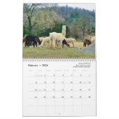Alpaca Kalender 2025 (Feb 2026)