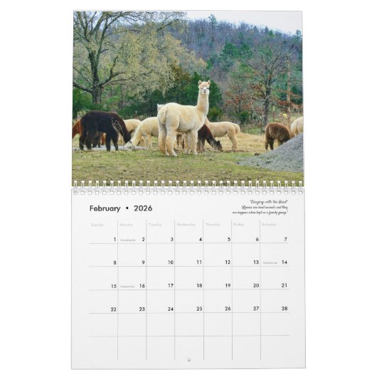 Alpaca Kalender 2025 (Feb 2026)