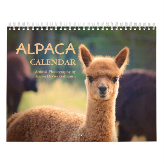 Alpaca Kalender 2025 (Hoes)