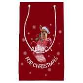 Alpaca kerstcadeau klein cadeauzakje (Voorkant)