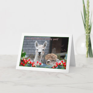 Alpaca Kerstmis Feestdagen Kaart