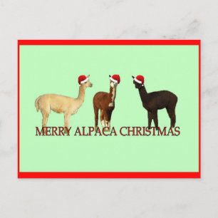 Alpaca Kerstmis Feestdagenkaart