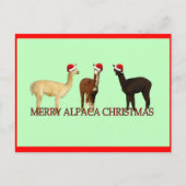 Alpaca Kerstmis Feestdagenkaart (Voorkant)