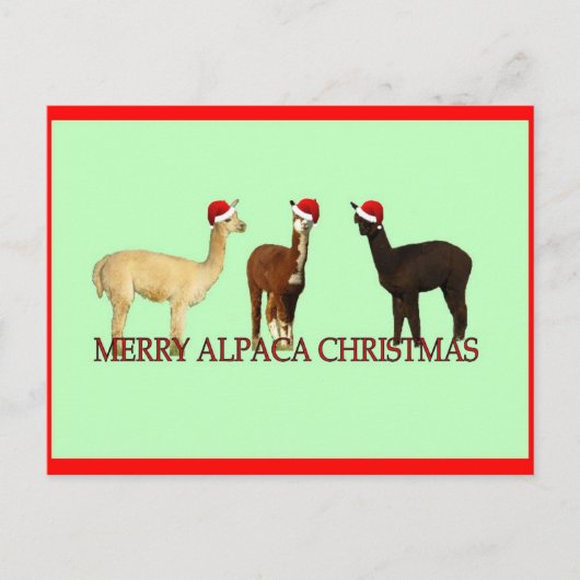 Alpaca Kerstmis Feestdagenkaart (Voorkant)