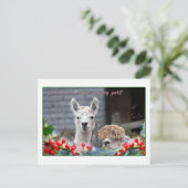 Alpaca Kerstmis Feestdagenkaart (Staand voorkant)