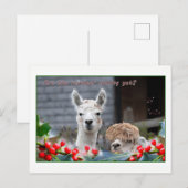 Alpaca Kerstmis Feestdagenkaart (Voorkant / Achterkant)