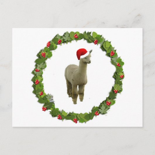 Alpaca Kerstmis Wreath Feestdagenkaart (Voorkant)