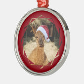 Alpaca kerstversiering metalen ornament (Links)