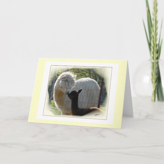 Alpaca Kisses Kaart (Voorkant)