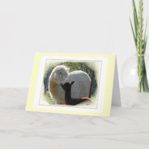Alpaca Kisses-kaart Kaart
