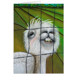 Alpaca - kleine droomkaart
