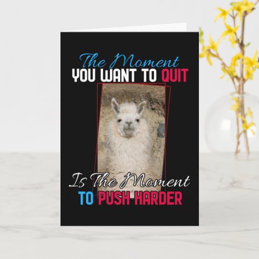 Alpaca lama - Duw harder aanmoediging Kaart (Gele Bloem)