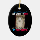 Alpaca lama - Duw harder aanmoediging Keramisch Ornament (Voorkant)