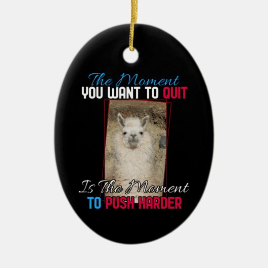 Alpaca lama - Duw harder aanmoediging Keramisch Ornament (Voorkant)