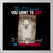 Alpaca lama - Duw harder aanmoediging Poster (Voorkant)