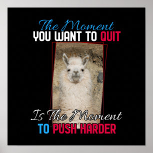 Alpaca lama - Duw harder aanmoediging Poster