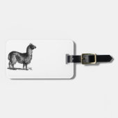 Alpaca lama Schattige Peru Animal Natuur Art Bagagelabel (Voorkant horizontaal)