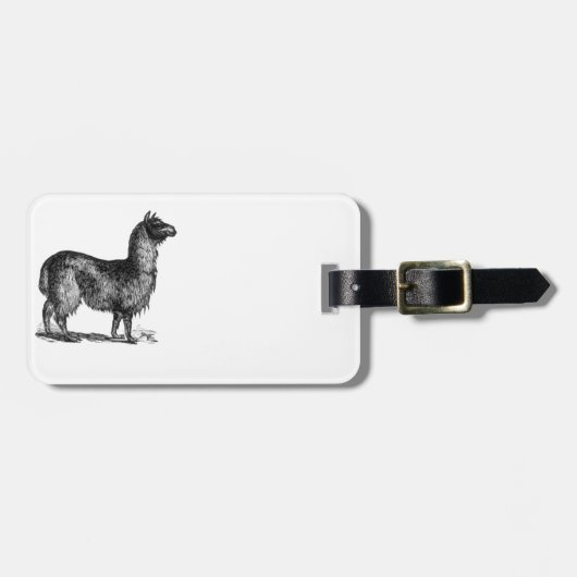 Alpaca lama Schattige Peru Animal Natuur Art Bagagelabel (Voorkant horizontaal)