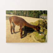 Alpaca Legpuzzel (Horizontaal)