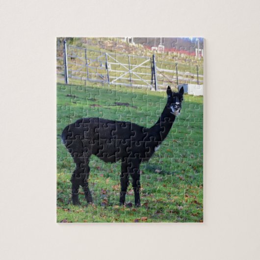 Alpaca Legpuzzel (Verticaal)