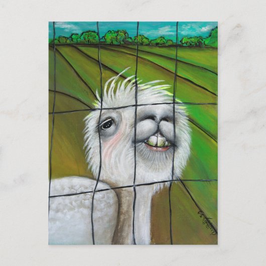 Alpaca - Little Dreamweaver briefkaart (Voorkant)