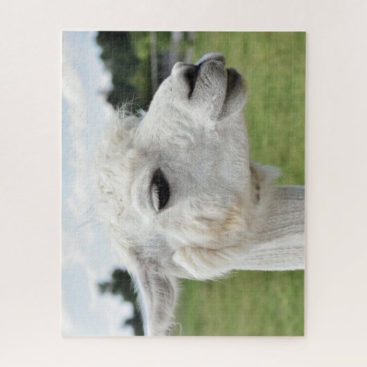  alpaca Llama fotografie Legpuzzel (Verticaal)