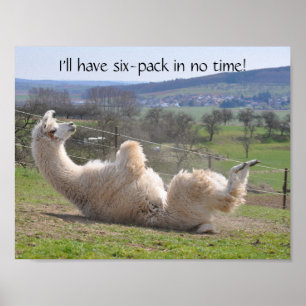 Alpaca llama grappig motivatie poster