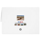 Alpaca Llama Herd Andes Mountains Let op Kaart (Achterkant Horizontaal)