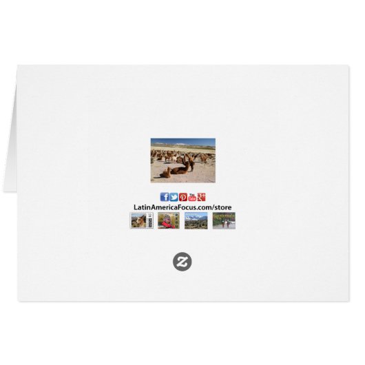 Alpaca Llama Herd Andes Mountains Let op Kaart (Achterkant Horizontaal)