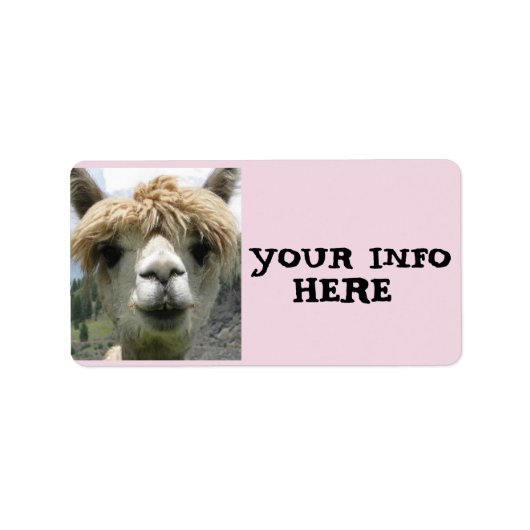 ALPACA LLAMA RETURN ADRES ETIKETTERS ETIKET (Voorkant)