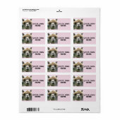 ALPACA LLAMA RETURN ADRES ETIKETTERS ETIKET (Full Sheet)
