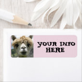 ALPACA LLAMA RETURN ADRES ETIKETTERS ETIKET (Insitu)