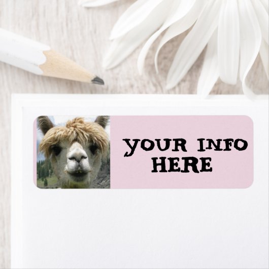 ALPACA LLAMA RETURN ADRES ETIKETTERS ETIKET (Insitu)