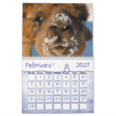 ALPACA LOVE 2011 CALENDER KALENDER (Feb 2027)