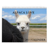 ALPACA LOVE 2011 CALENDER KALENDER (Hoes)