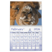 ALPACA LOVE 2011 CALENDER KALENDER (Feb 2026)