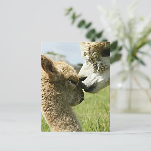 Alpaca Love Briefkaart (Staand voorkant)
