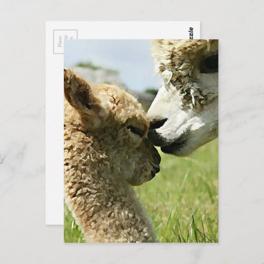 Alpaca Love Briefkaart (Voorkant / Achterkant)