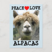 ALPACA LOVE BRIEFKAARTEN (Voorkant)