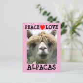 ALPACA LOVE BRIEFKAARTEN (Staand voorkant)