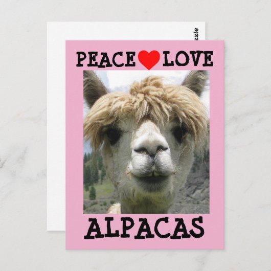ALPACA LOVE BRIEFKAARTEN (Voorkant / Achterkant)