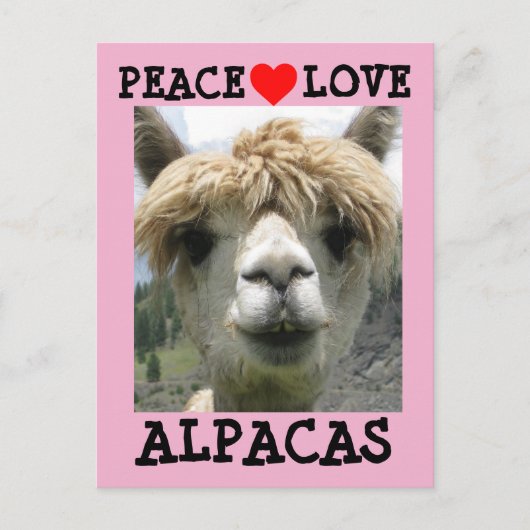 ALPACA LOVE BRIEFKAARTEN (Voorkant)