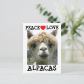 ALPACA LOVE BRIEFKAARTEN BRIEFKAART (Staand voorkant)