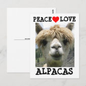ALPACA LOVE BRIEFKAARTEN BRIEFKAART (Voorkant / Achterkant)