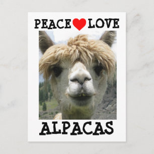 ALPACA LOVE BRIEFKAARTEN BRIEFKAART