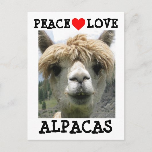 ALPACA LOVE BRIEFKAARTEN BRIEFKAART (Voorkant)