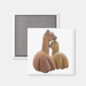 Alpaca Love Magnet (Voorkant / Achterkant)