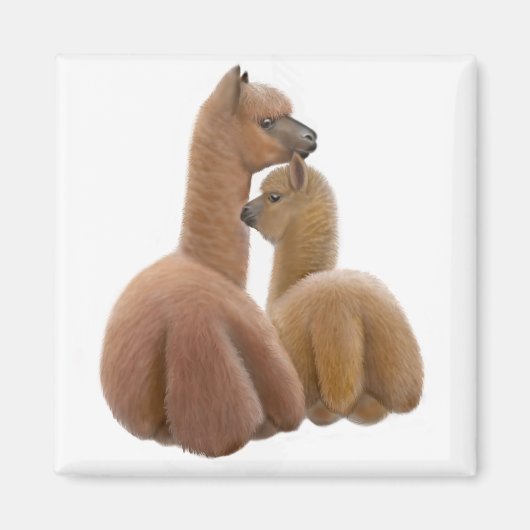 Alpaca Love Magnet (Voorkant)